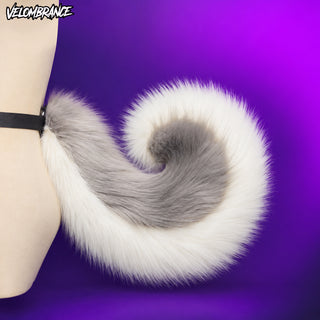 Dog Ears and Tail Cosplay Accessory Set  VA09